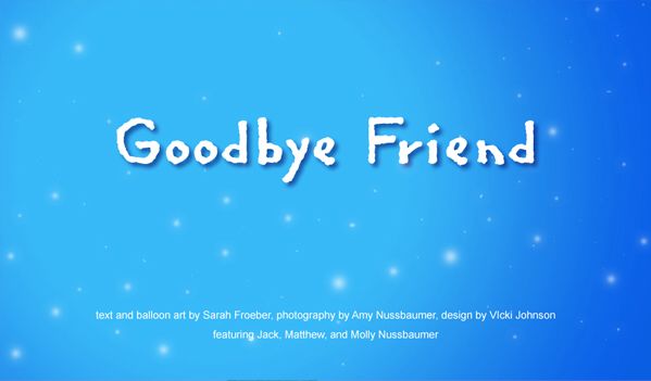 Goodbye Friend