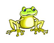 Lovely, Lovely Lily Pad